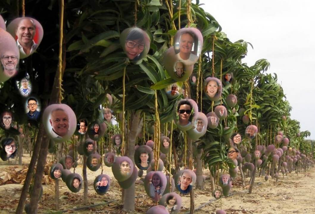 Mango People